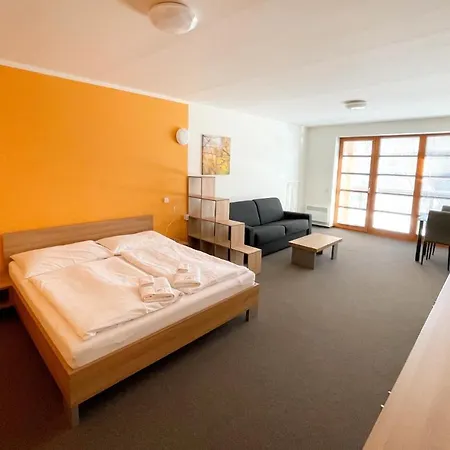 Wellness Hotel 3*