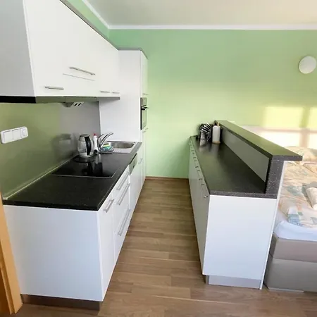 Wellness 3* Ricky (Hradec Kralove)