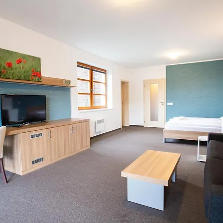 Wellness Ricky (Hradec Kralove)