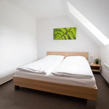 Wellness Ricky (Hradec Kralove)