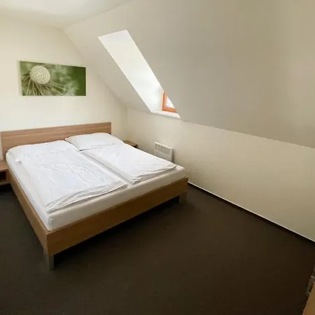 Wellness 3* Ricky (Hradec Kralove)