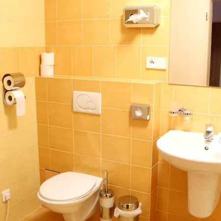 Hotel Wellness Ricky (Hradec Kralove)