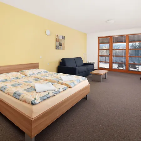 Wellness 3* Ricky (Hradec Kralove)