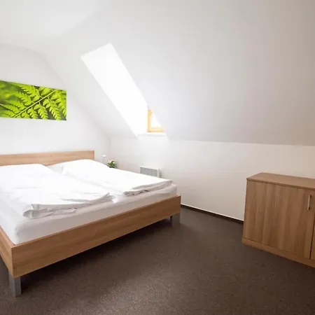 Wellness Hotel Ricky (Hradec Kralove)