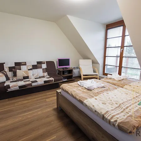 Wellness Hotel Ricky (Hradec Kralove)